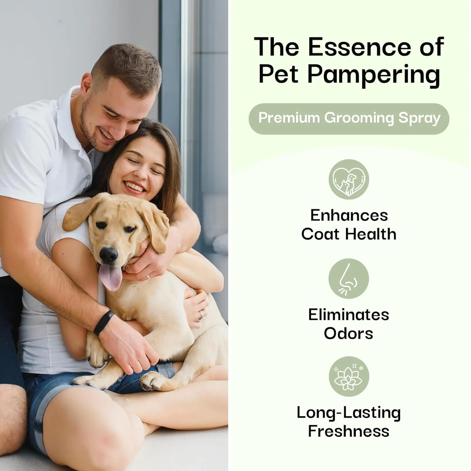 605Products Premium Dog Cologne & Odor Eliminator - Long Lasting Puppy Perfume, Deodorant & Grooming Spray with Essential Oils, 2oz Show Dog (3-Pack)