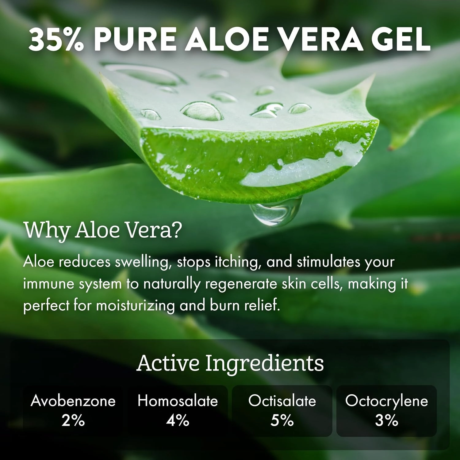 Aloe Up White Collection Sunscreen Lotion SPF 15 - Broad Spectrum UVA/UVB Sunblock for Face and Body - With Aloe Vera Gel - Alcohol-Free - Reef-Friendly - Coco-Mango Fragrance - 4 Oz