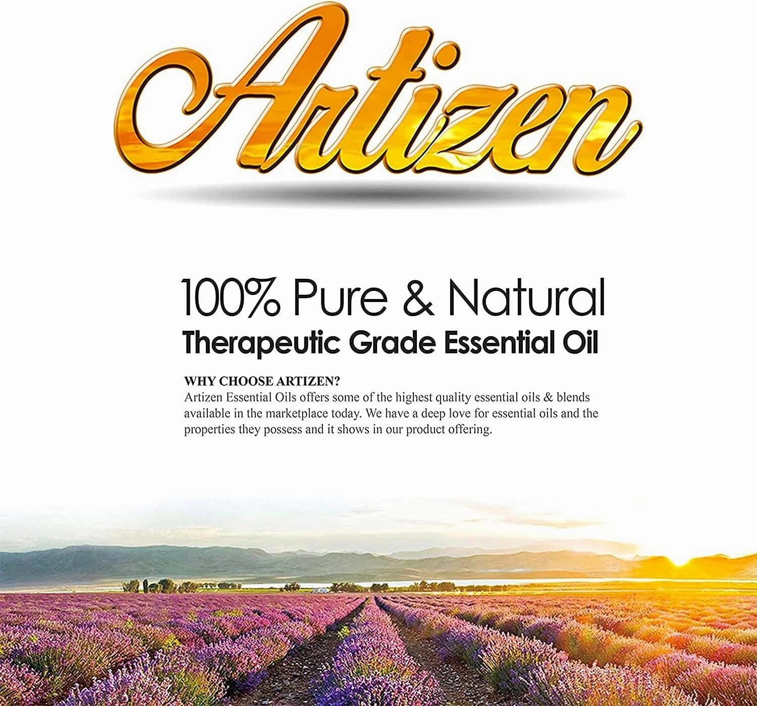 Artizen 2oz Oils - Chamomile Roman Essential Oil - 2 Fluid Ounces