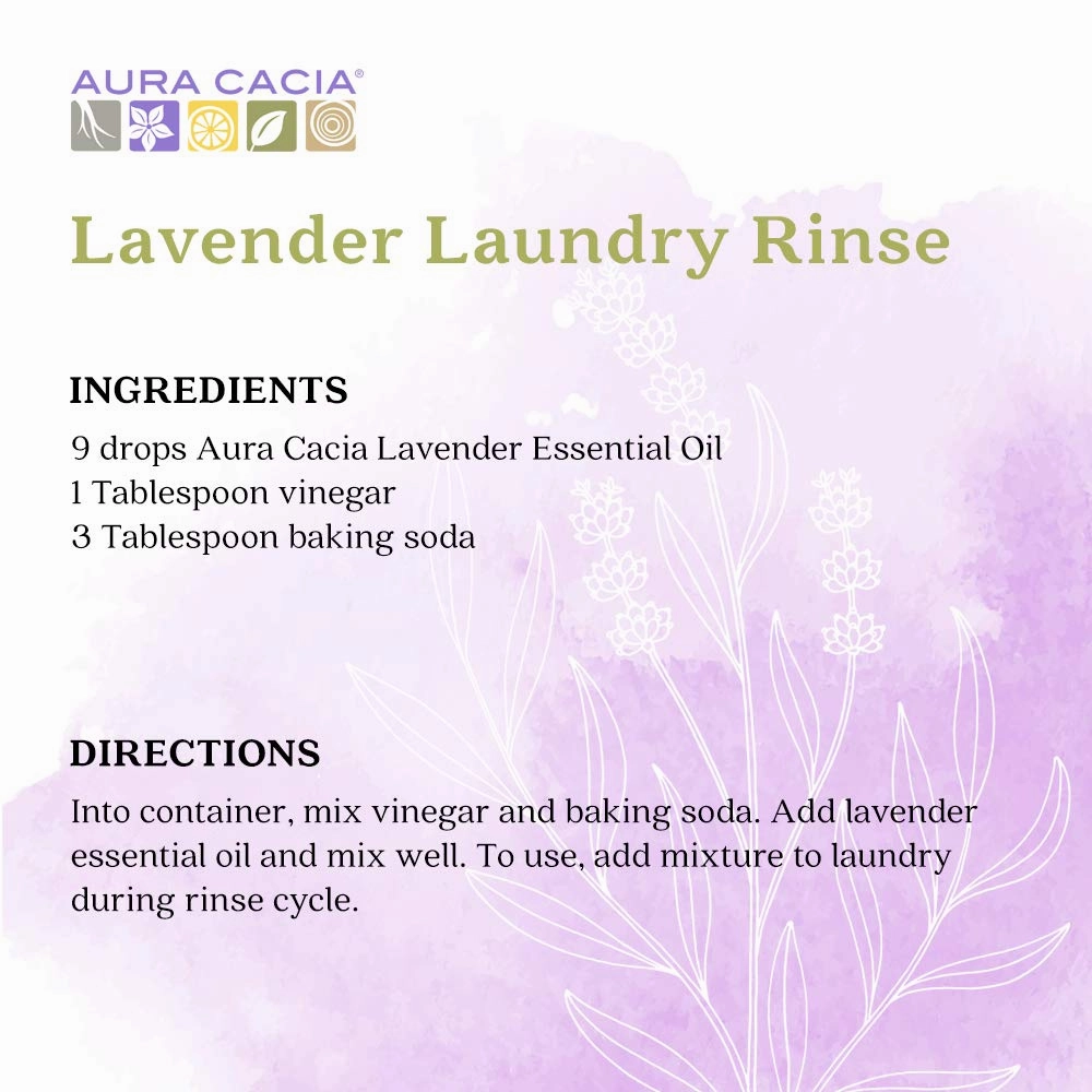 Aura Cacia 100% Pure Lavender Essential Oil | GC/MS Tested for Purity | 60 ml (2 fl. oz.) | Lavandula angustifolia