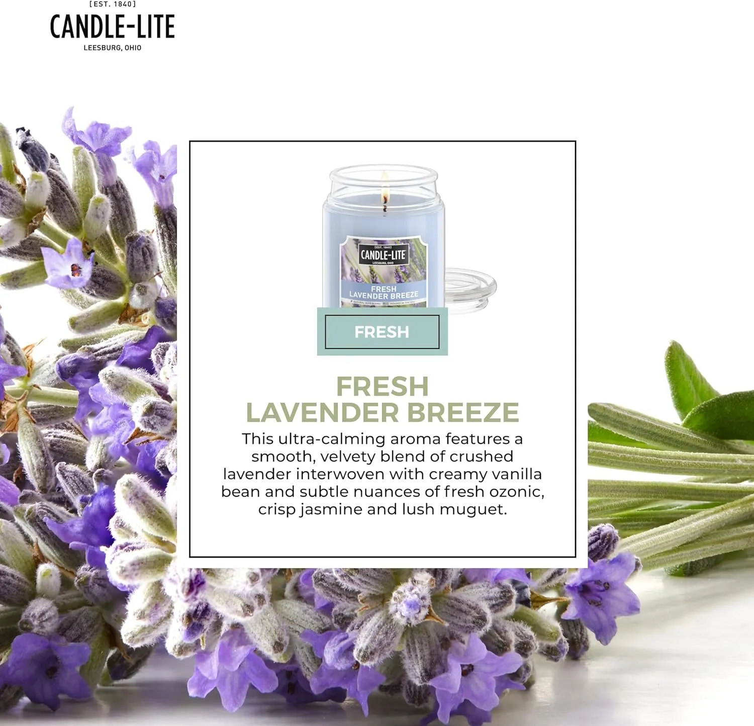 Candle-lite Scented Candles, Fresh Lavender Breeze, 18 oz Jar, Proudly Poured in The USA, Aromatherapy Candle, Single-Wick with 110 Hours of Burn Time, Perfect for Creating a Relaxing Ambiance