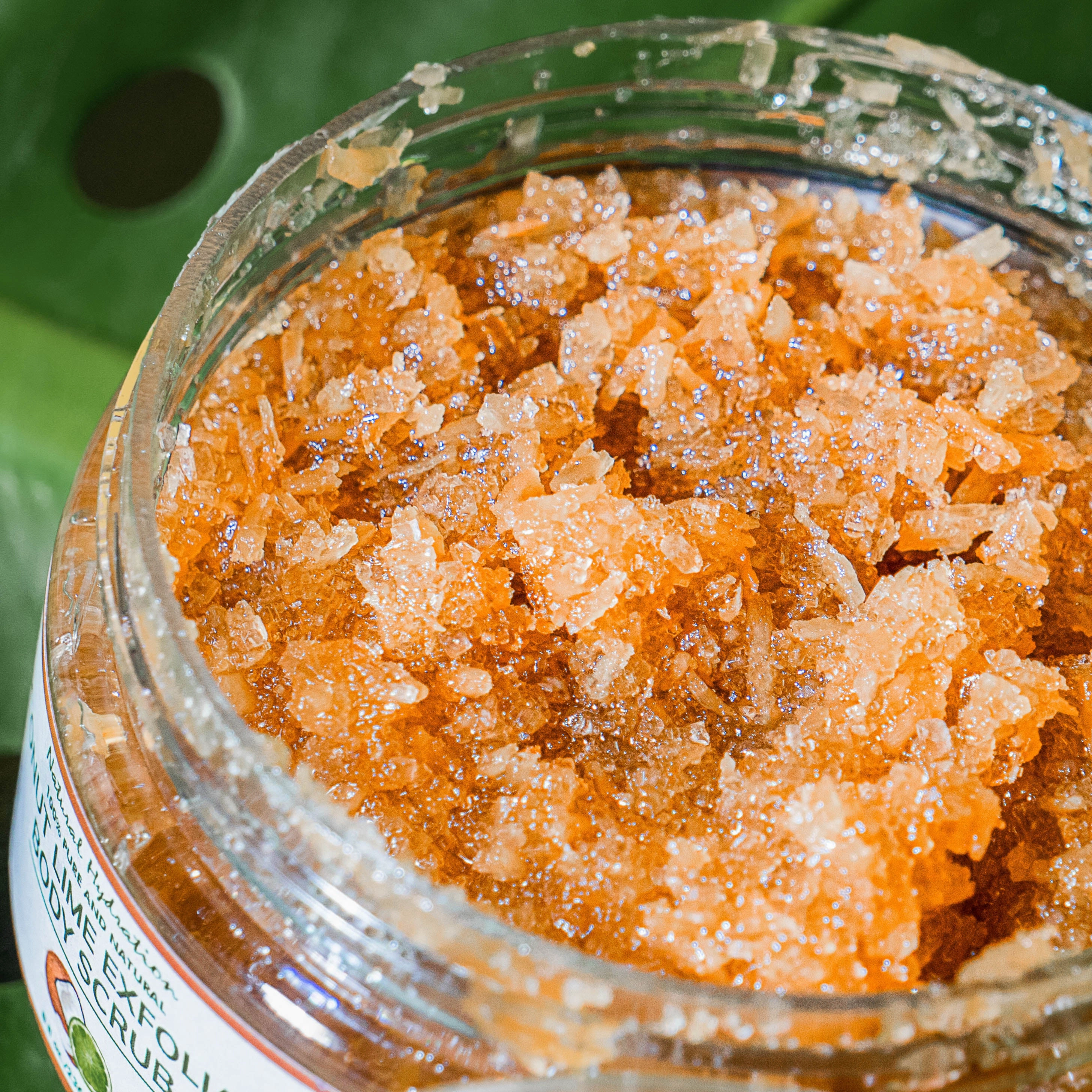 Coconut Lime Exfoliating Face & Body Scrub  | Natural Hydration Skincare