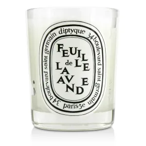Diptyque Feuille de Lavande Candle-6.5 oz.,Lavender,I0088712