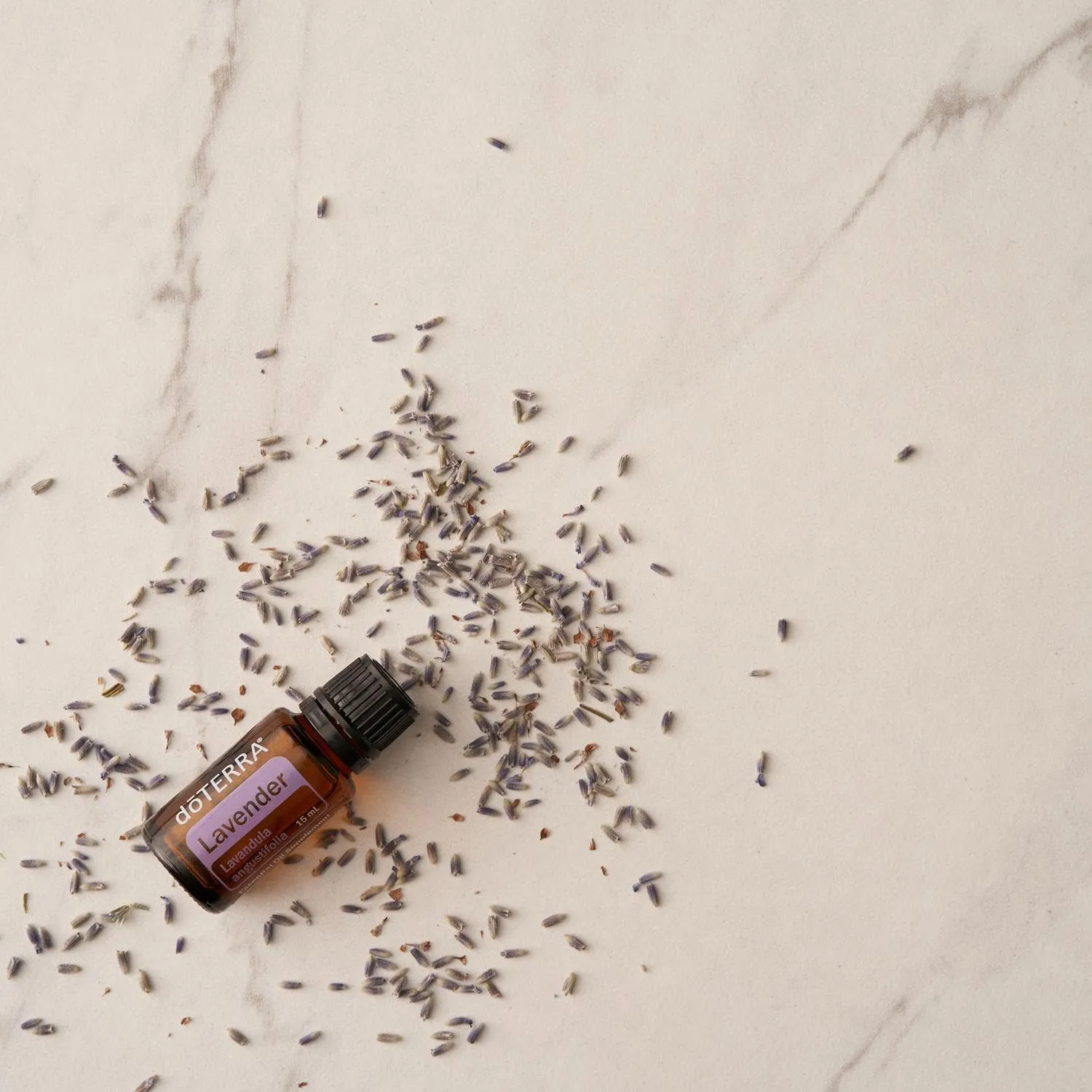 doTERRA Lavender Essential Oil - 15 ml (Lavender)