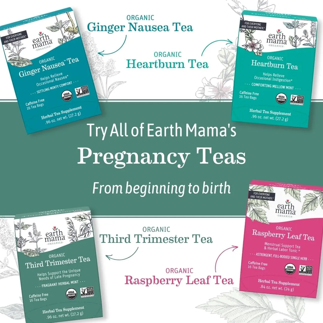 Earth Mama Organic Peaceful™ Tea | Stress Less! Calming, Relaxing Herbal Blend Safe for Pregnancy & Beyond, 16 Teabags Per Box (6-Pack)