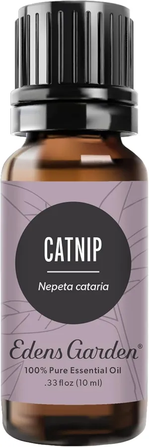 Edens Garden Catnip Essential Oil, 100% Pure Therapeutic Grade (Undiluted Natural/Homeopathic Aromatherapy Scented Essential Oil Singles) 10 ml