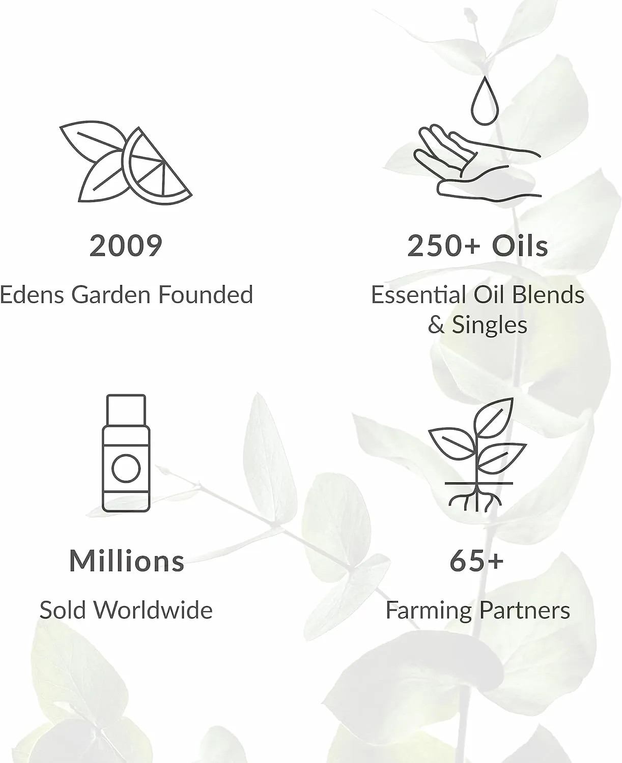 Edens Garden Lavender- Fine Essential Oil- 100% Pure Premium Grade, Undiluted, Natural, Therapeutic, Aromatherapy, The Best for Diffuser, Candle, Humidifiers, Kid Safe 10 ml (.33 fl oz)