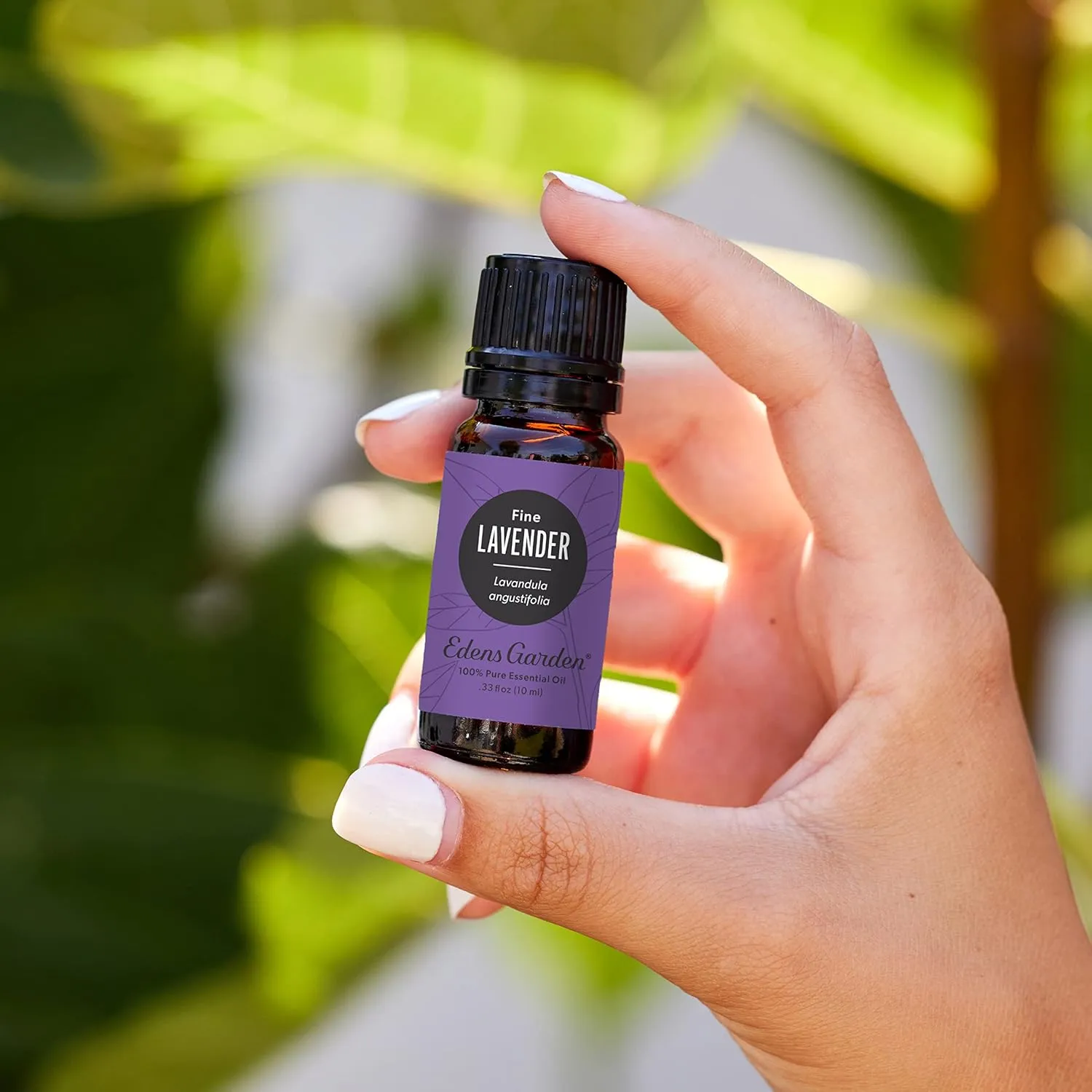 Edens Garden Lavender- Fine Essential Oil- 100% Pure Premium Grade, Undiluted, Natural, Therapeutic, Aromatherapy, The Best for Diffuser, Candle, Humidifiers, Kid Safe 30 ml (1 fl oz)