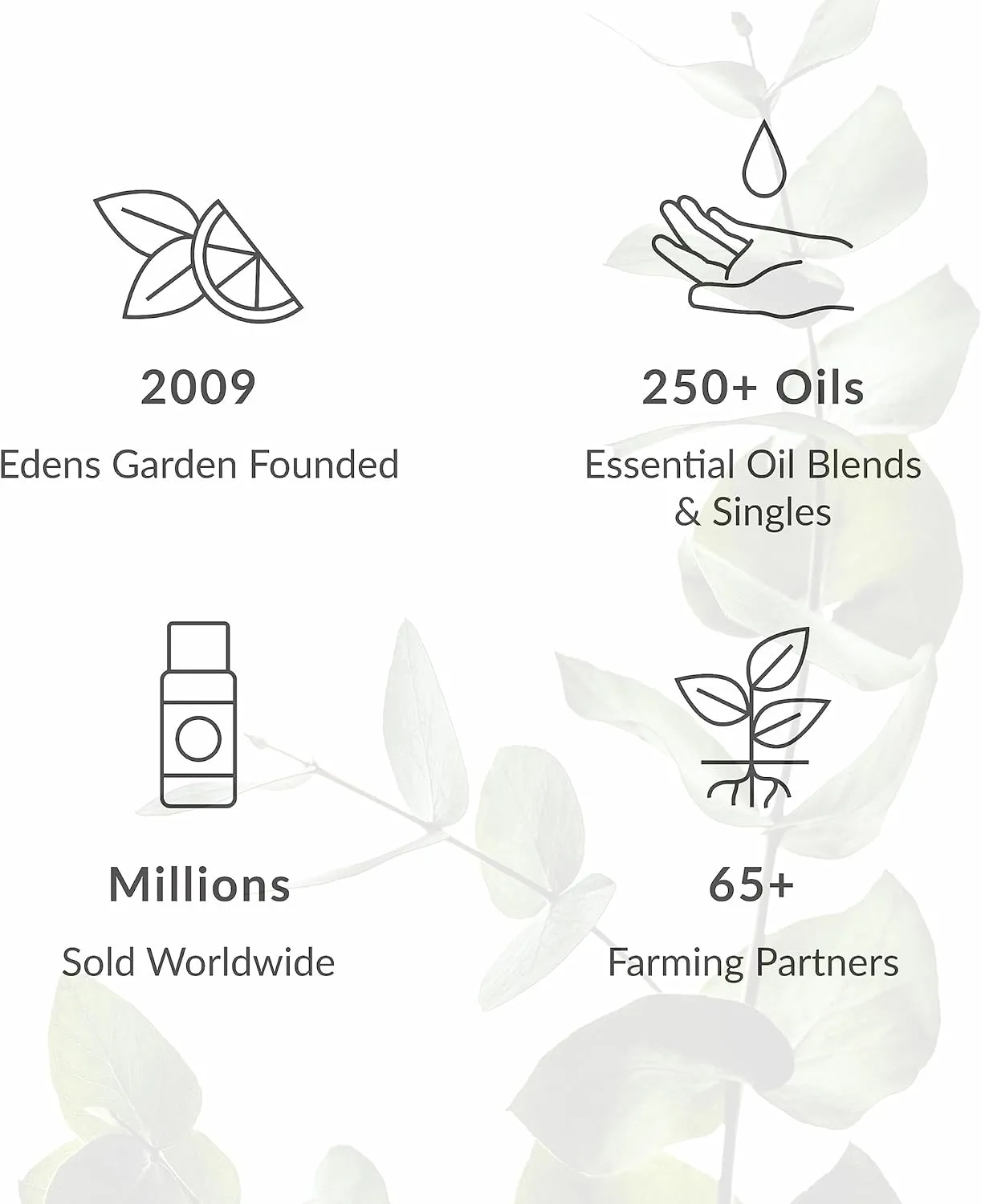 Edens Garden Lavender- Fine Essential Oil- 100% Pure Premium Grade, Undiluted, Natural, Therapeutic, Aromatherapy, The Best for Diffuser, Candle, Humidifiers, Kid Safe 30 ml (1 fl oz)