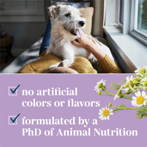 EverRoot Dog Supplements | Calming | Soft Chews, 60ct