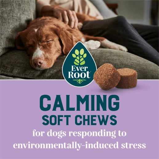 EverRoot Dog Supplements | Calming | Soft Chews, 60ct