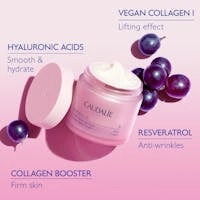 Firming Night Cream