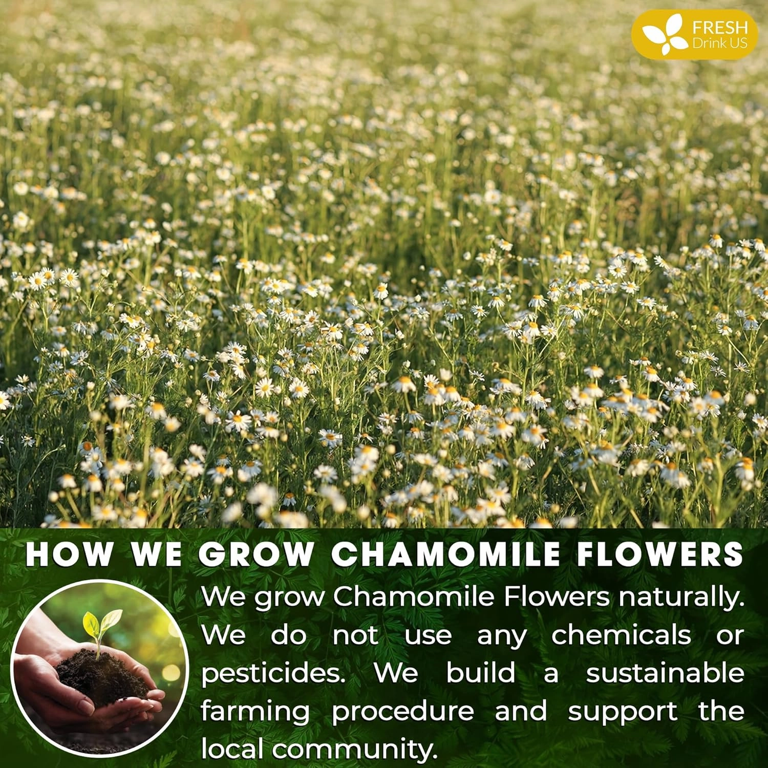 FRESHDRINKUS, Premium 135 Chamomile Tea Bags, 100% Natural and Pure Chamomile Flowers, Eco-conscious Tea Bags. Chamomile Flower Herbal Tea. No Sugar, No Caffeine, No Gluten, Vegan.