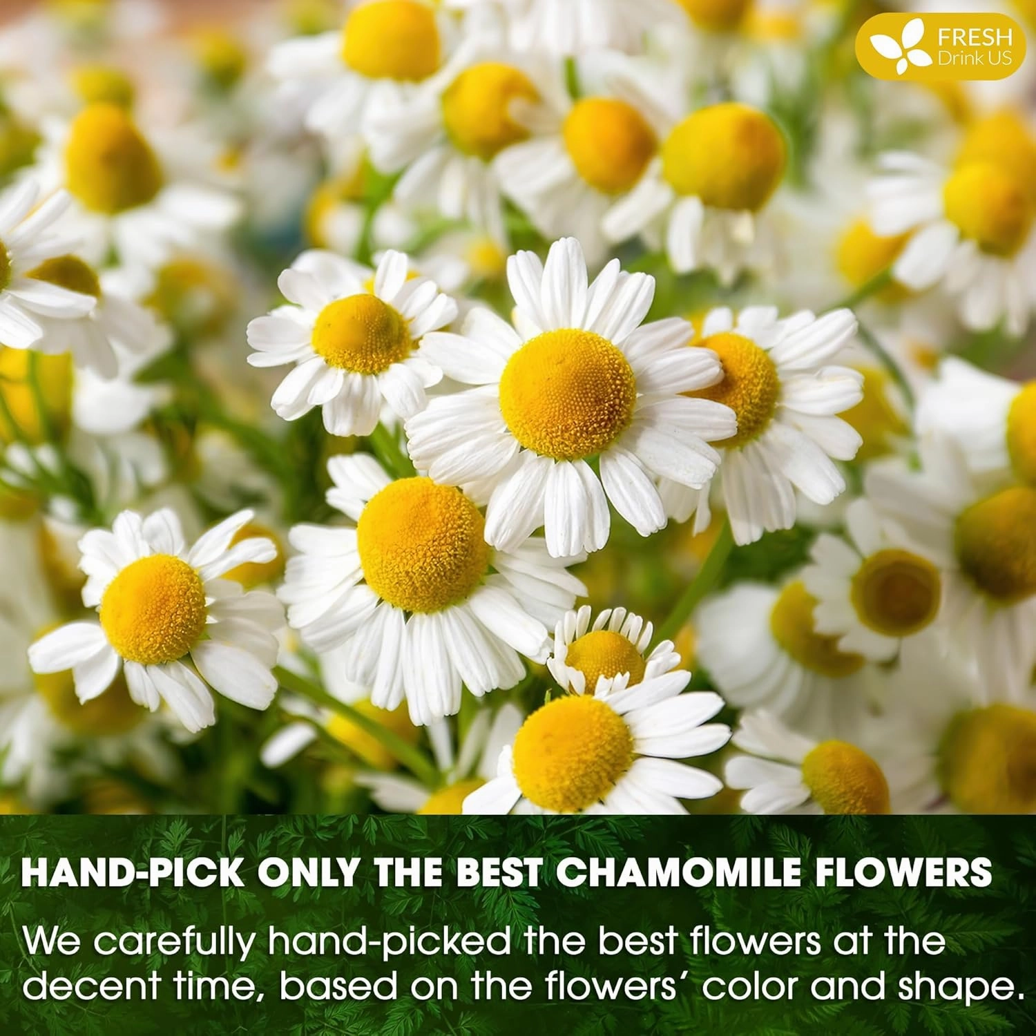 FRESHDRINKUS, Premium 135 Chamomile Tea Bags, 100% Natural and Pure Chamomile Flowers, Eco-conscious Tea Bags. Chamomile Flower Herbal Tea. No Sugar, No Caffeine, No Gluten, Vegan.