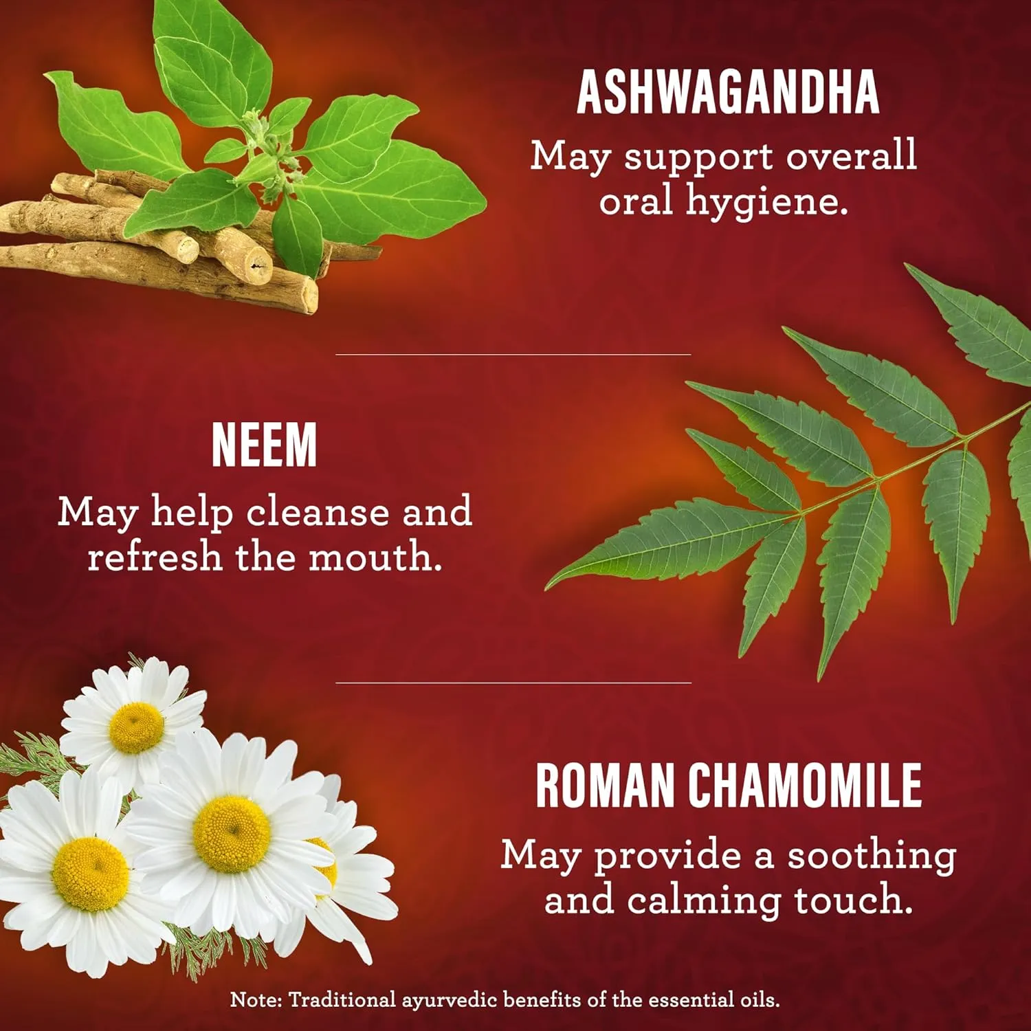 GuruNanda Ashwagandha Oil Pulling with Neem & Roman Chamomile, for Fresh Breath and Happy Gums, Alcohol & Flouride-Free Essential Oil Oral Rinse with Toothbrush & Tongue Scraper, 8 Oz