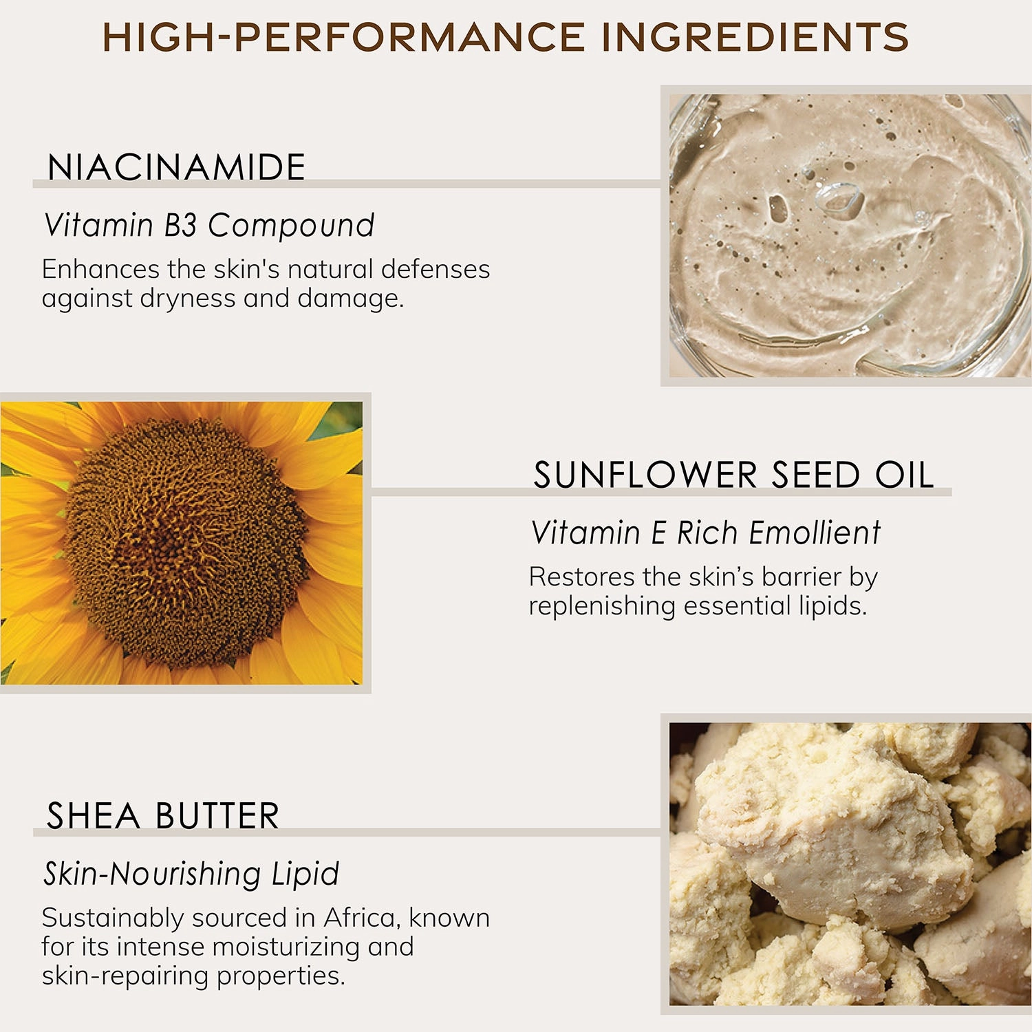 Hand Cream - Lavender Chamomile