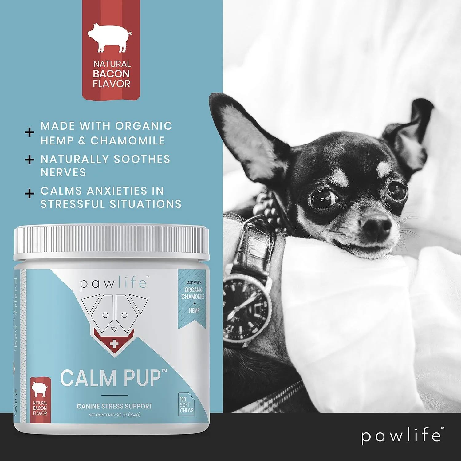 Hemp Calming Chews - Anxiety Relief & Joint Support Treats, 240 Calm Pup Dog Anxiety Relief, Oil Infused Bacon Flavor