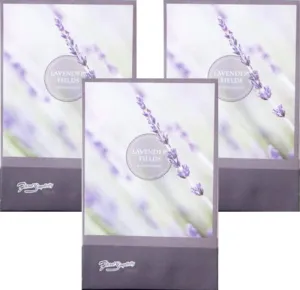 Lavender Scented Sachets Pack of 3, Everyday - Long-Lasting Scented Bags, Home Fragrance, Air Freshener & Deodorizer for Closet, Room, Drawer, or Cars, Made in USA