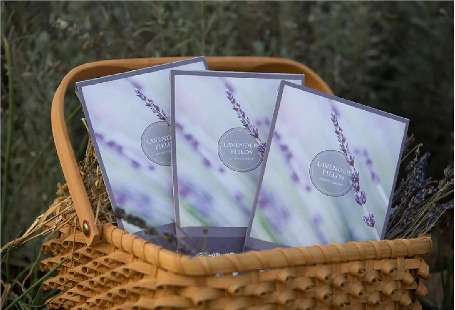 Lavender Scented Sachets Pack of 3, Everyday - Long-Lasting Scented Bags, Home Fragrance, Air Freshener & Deodorizer for Closet, Room, Drawer, or Cars, Made in USA