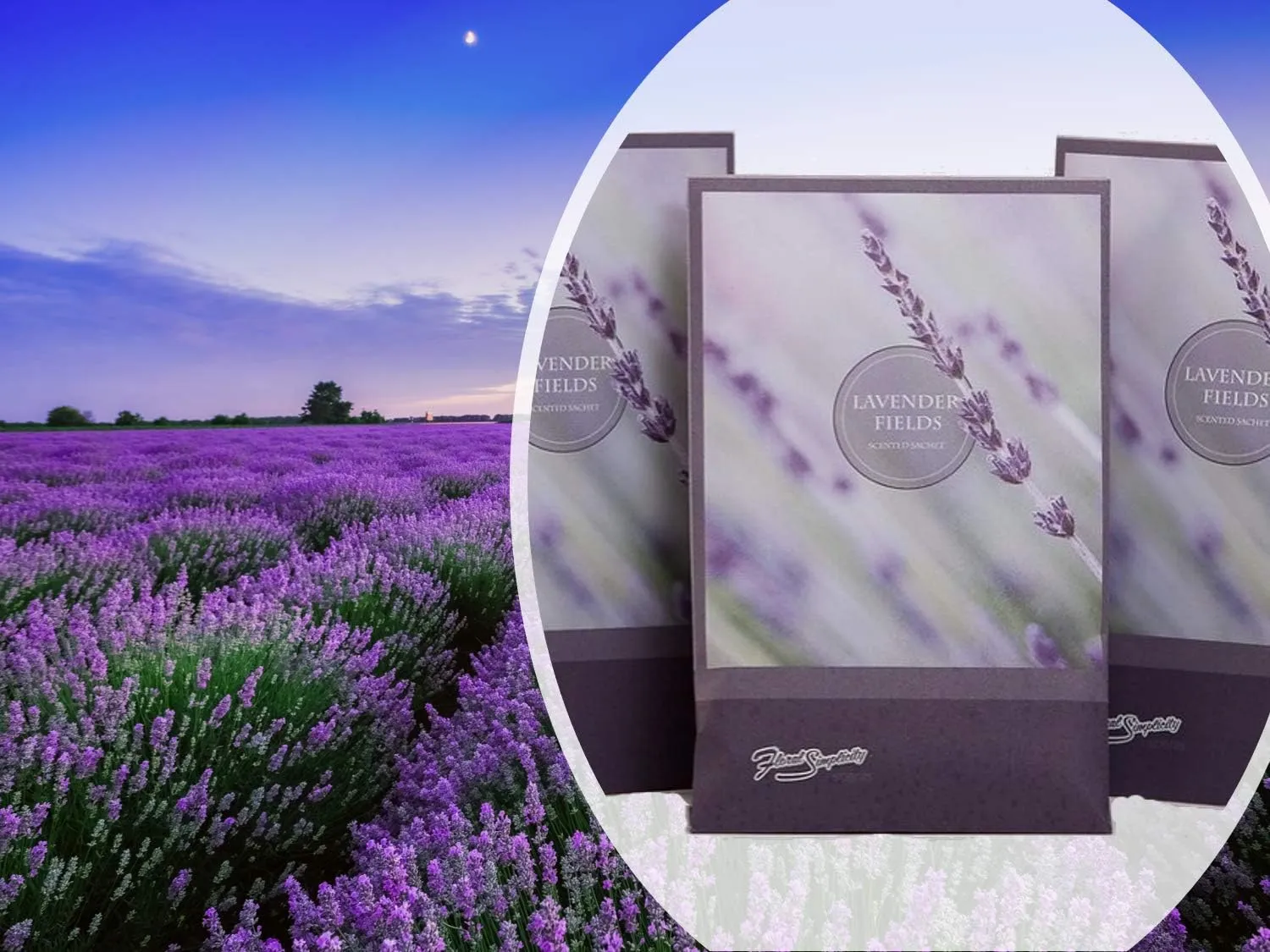 Lavender Scented Sachets Pack of 3, Everyday - Long-Lasting Scented Bags, Home Fragrance, Air Freshener & Deodorizer for Closet, Room, Drawer, or Cars, Made in USA