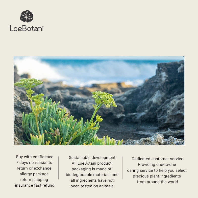 LoeBotani Sea Fennel Hydrating & Brightening Mud Mask,200g