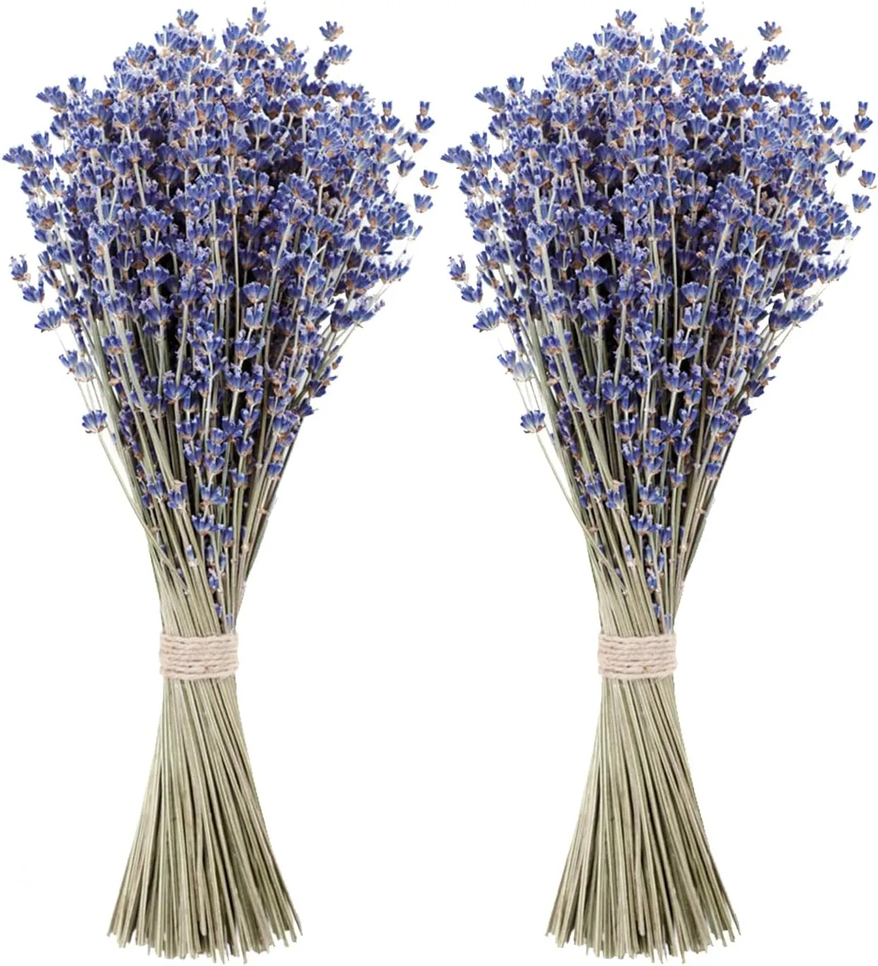 MAQ's Dried Lavender Bundles - 100% Natural Dried Lavender Flowers with 300 Stems (16-17 Inches) for Home Fragrance, Weddings & Party Decoration | Bonus Pouch Filled with Dried Lavendar Buds