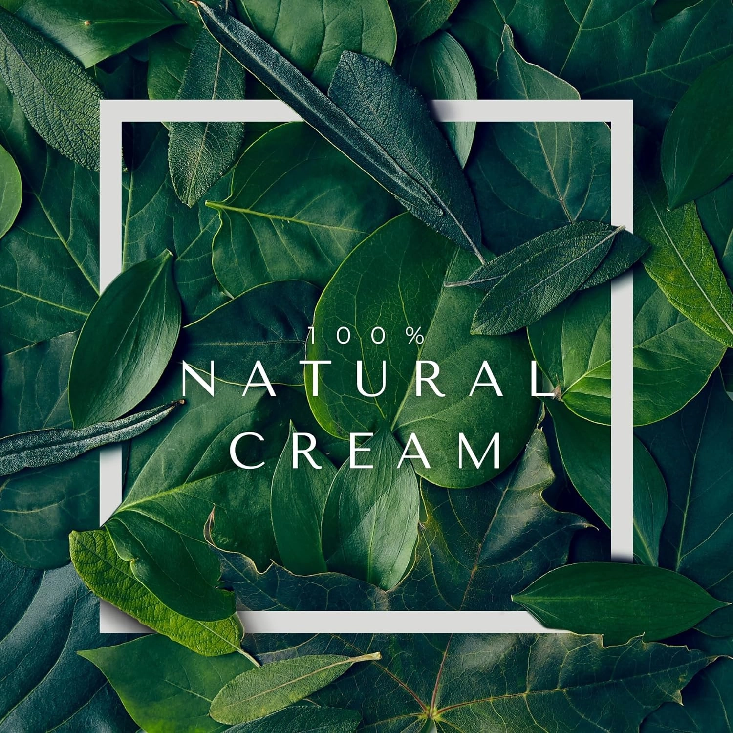 Merja Herbs Natural Antifungal Cream with Oregano, Sage and Thyme - Relaxing & Hydrating & Repair Cream - Herbal Rich Formula, Soothes Rough, Dry, Scaly Patches & Relieves Itching - 55ml 1.86oz