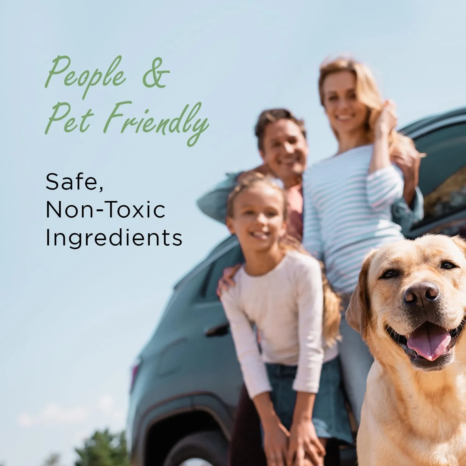 Moso Natural Car Air Freshener and Deodorizer | Long Lasting Bamboo Charcoal Odor Absorber | Non Toxic Odor Eliminator for Cars | Scent Free Air Purifying Bag