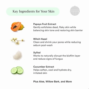 Natural Mineral & Enzyme Body Wash for Men & Women | Malassezia Safe | Gentle, Hydrating & Nourishing Cleanser w/Papaya & Cucumber for Soft, Radiant Skin – Sulfate & Paraben Free, 8 fl oz