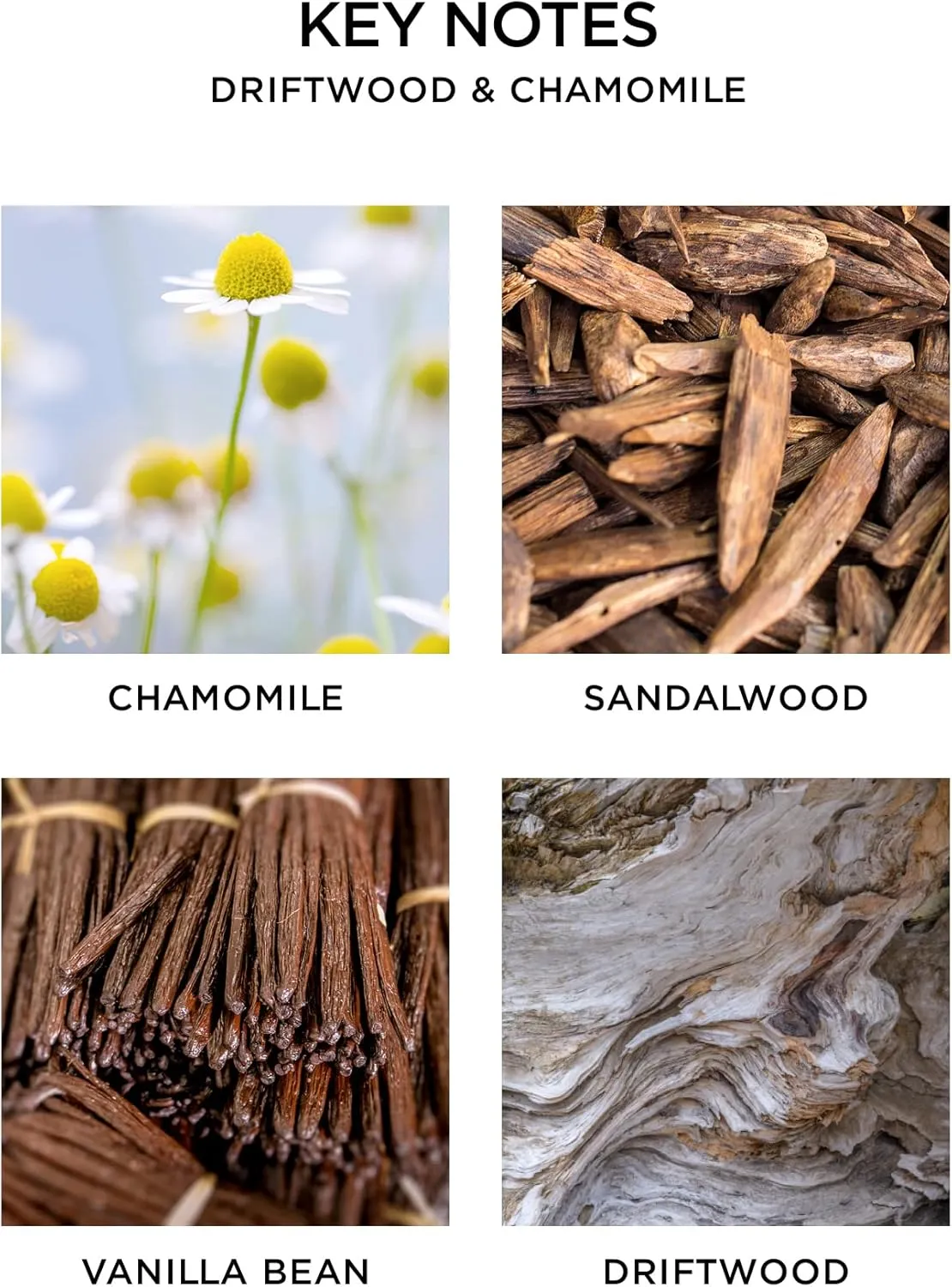 NEST New York Reed Diffuser Liquid Refill, Driftwood & Chamomile - 5.9 fl oz - Fragrance for Up to 90 Days - Flame Free