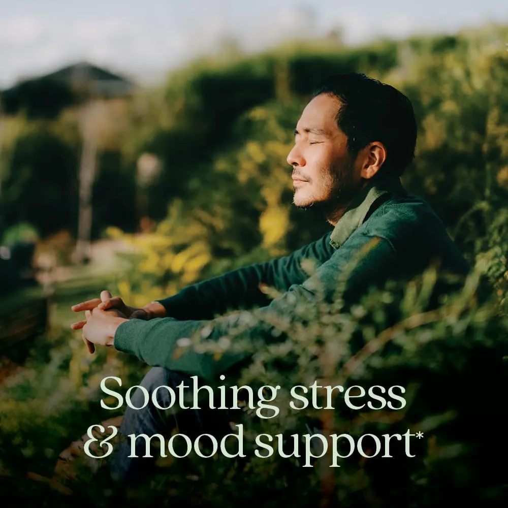 New Chapter Perfect Calm - Daily Multivitamin for Stress & Mood Support with B Vitamins   Holy Basil   Lemon Balm   Organic Non-GMO Ingredients - 144 Count