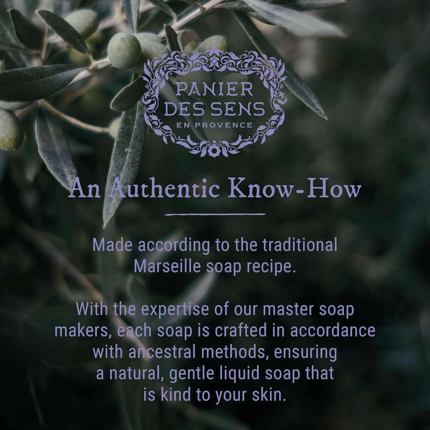 Panier des Sens - Moisturizing Hand Soap - Lavender Aromatic Fragrance - French Savon de Marseille Soap with Coconut Oil - Refillable Kitchen & Bathroom Soap - 16.9 Fl.oz Hand Wash 97% Natural