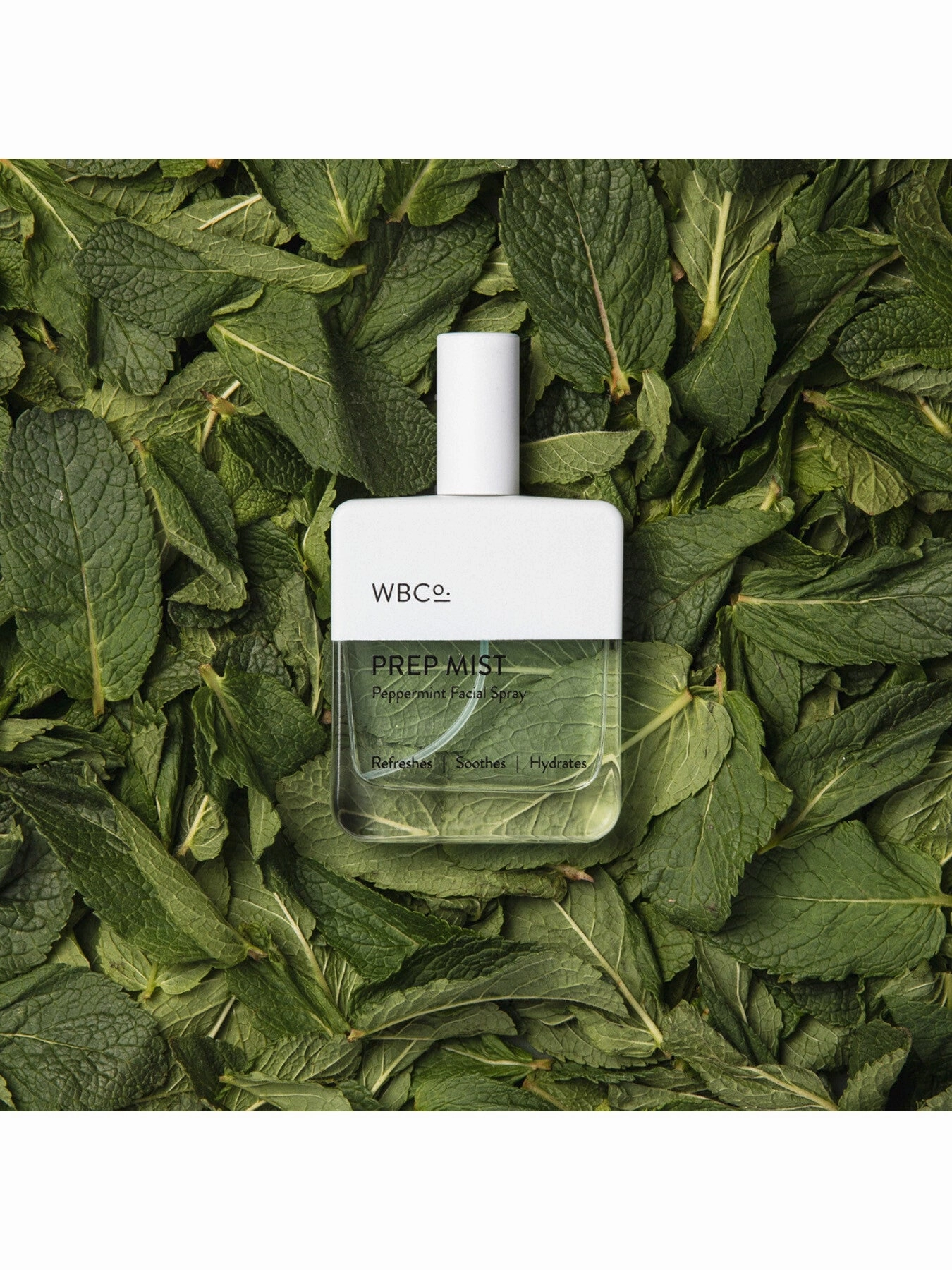 Peppermint Prep Mist