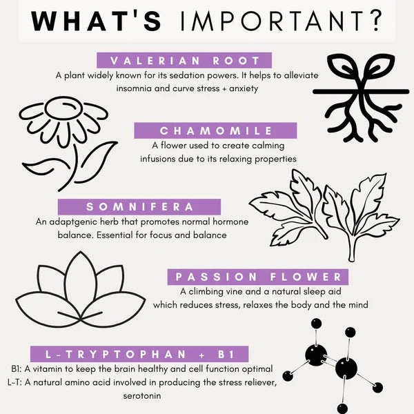 PetzPark – Stress   Anxiety – For Dogs
