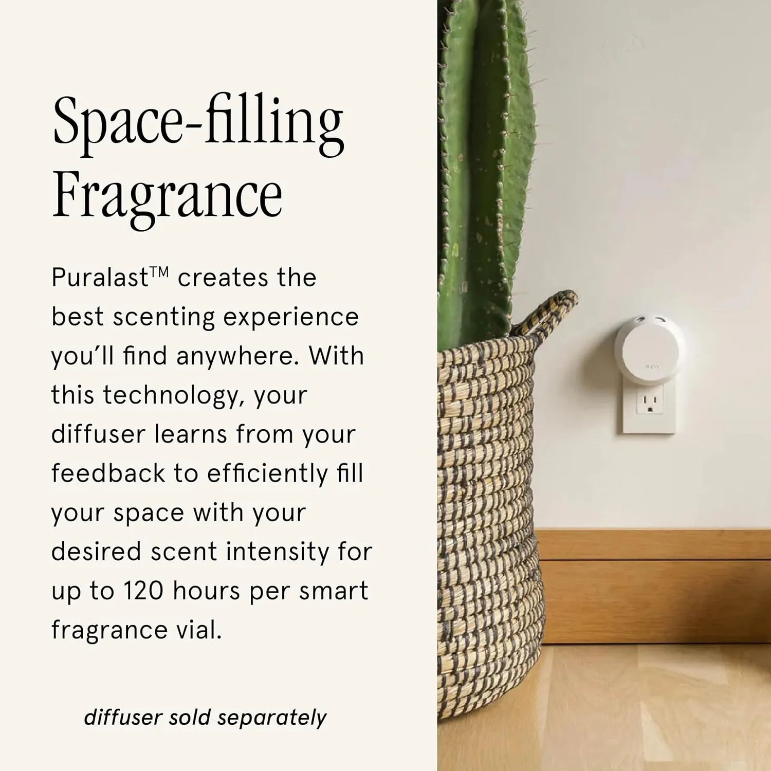 Pura & K. Hall Designs Home Scent Refill - Smart Home Air Diffuser - Up to 120-Hours of Premium Fragrance per Refill - Household Essential - Clean Diffuser Fragrance - 2 Pack, Siberian Fir