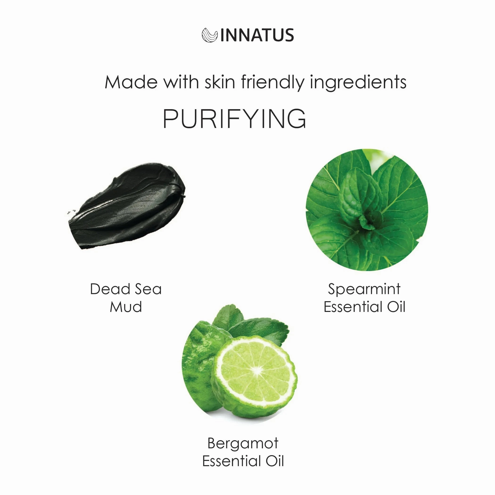 Purifying Dead sea mud face mask