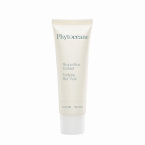 Purifying Mud-Mask