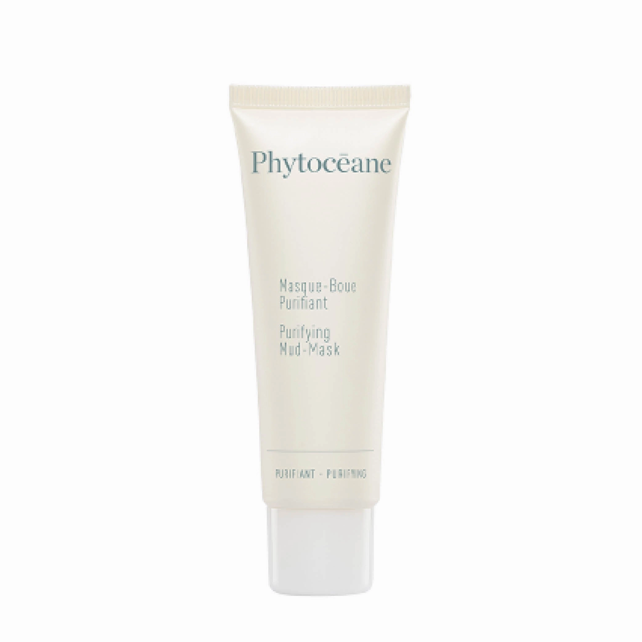 Purifying Mud-Mask