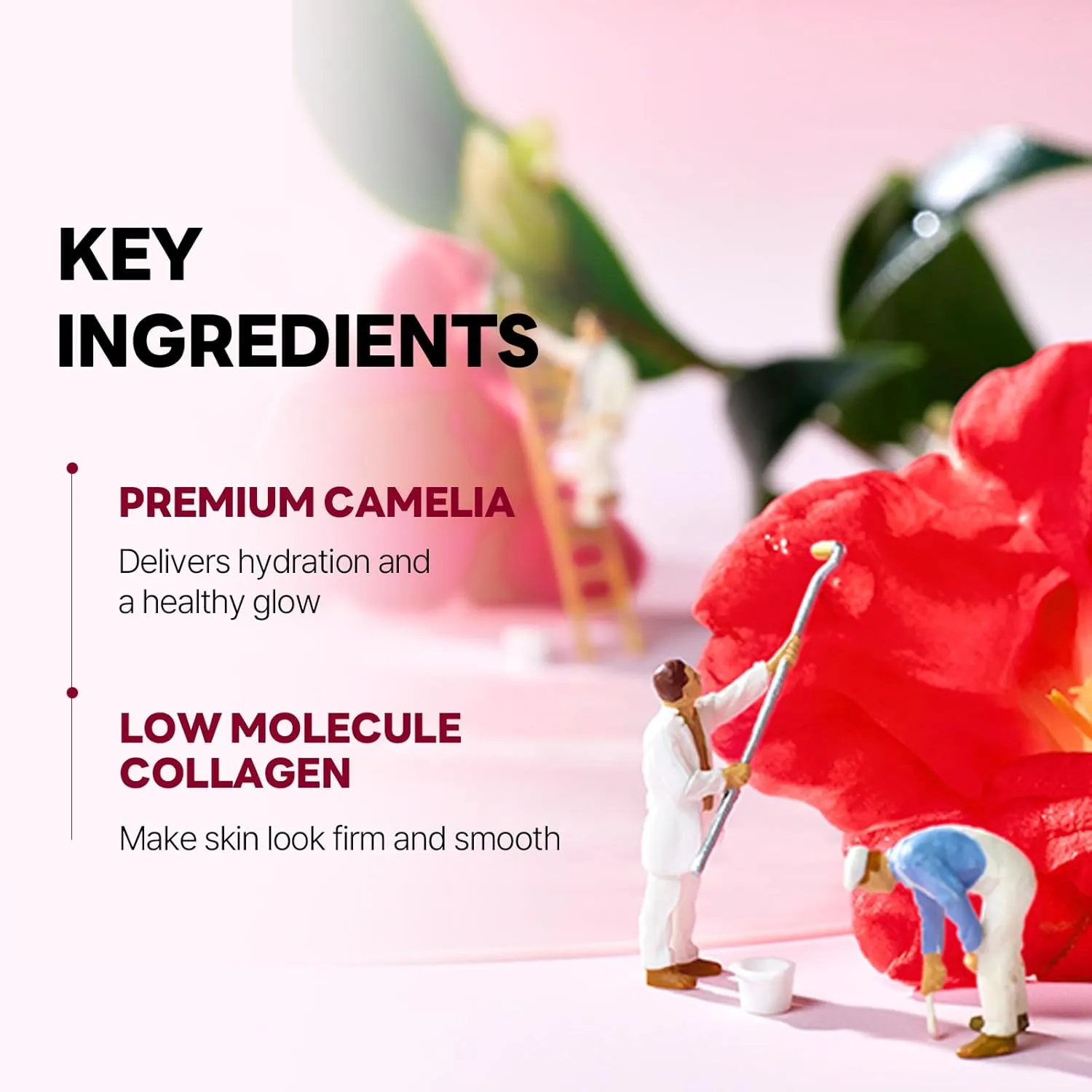 ROUND LAB Camellia Collagen Mask NET wt. 34 g/1.19 Fl Oz 4ea, 30min Hydrogel Mask, Quick Hydration, Firming&Pore Minimizing, For sensitive skin, Micro molecule collagen, Facial Mask