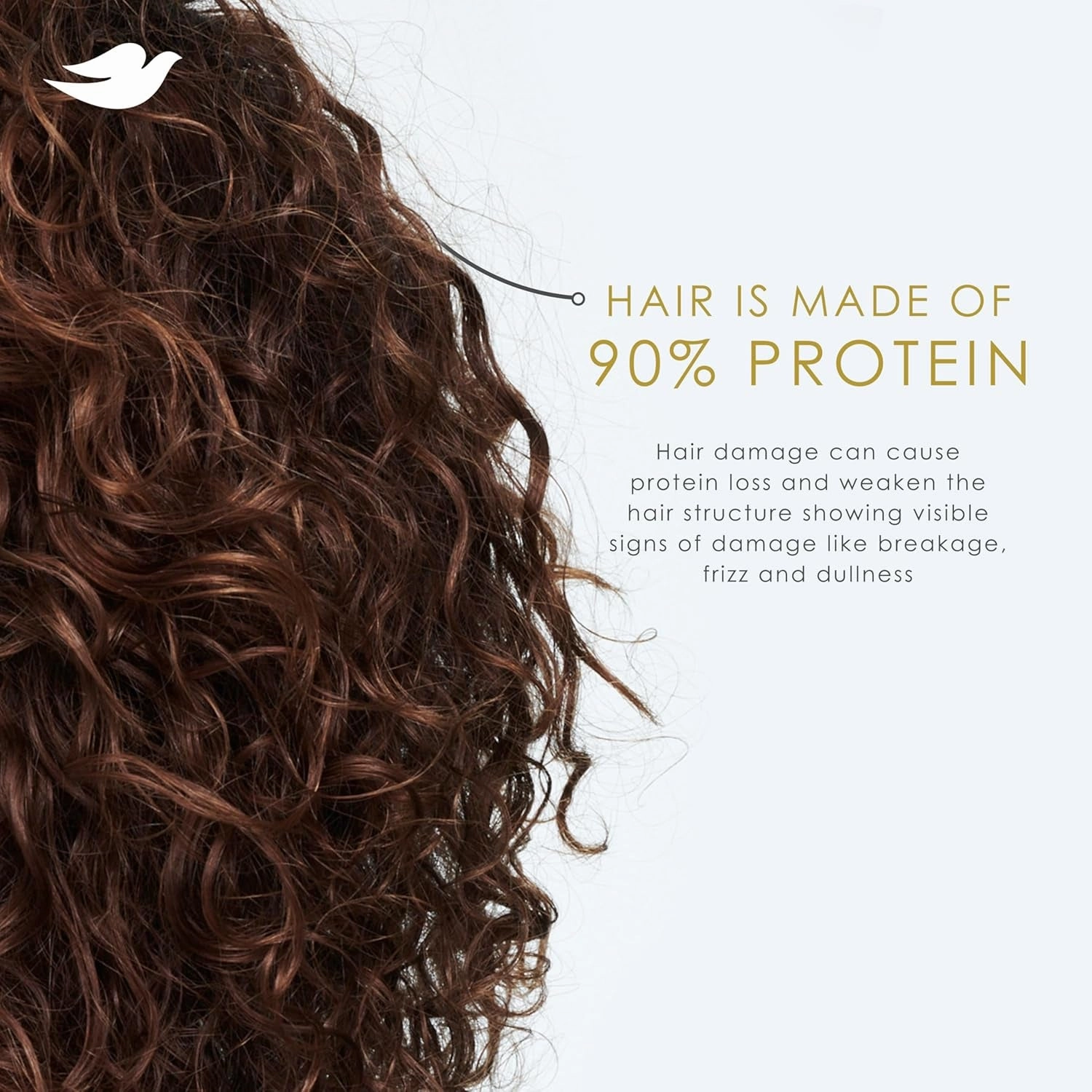 Shampoo Coconut & Hydration for Dry Hair with Bio-Protein Care Technology and Coconut Oil 28 Fl Oz