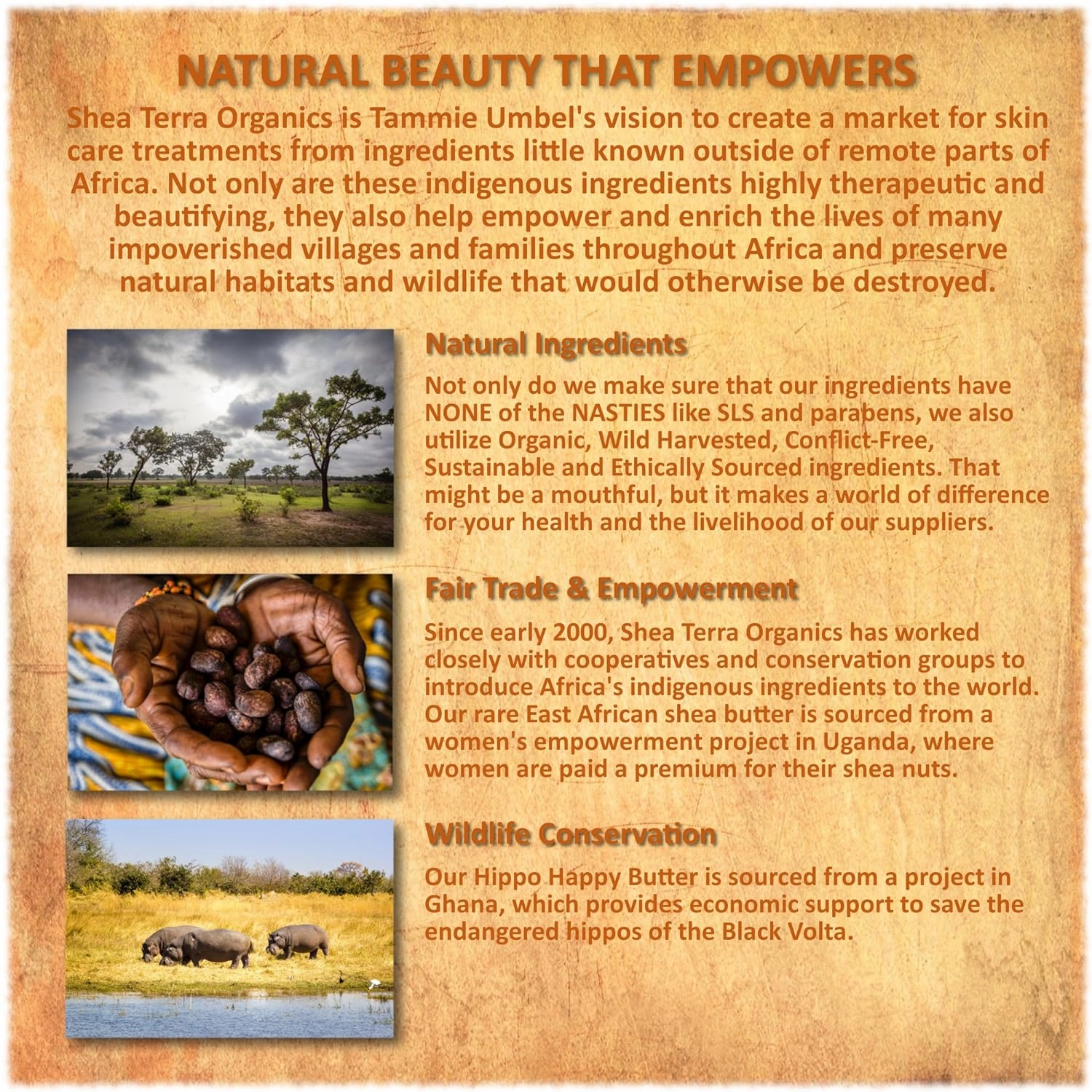Shea Terra Organics Nilotik’ Shea Butter Ultra-Rich Lotion – S. African Lavender | Natural Daily Moisturizer that Offers Stress Relief & Skin Cell Rejuvenation with Antioxidants to Protect Skin– 16 oz