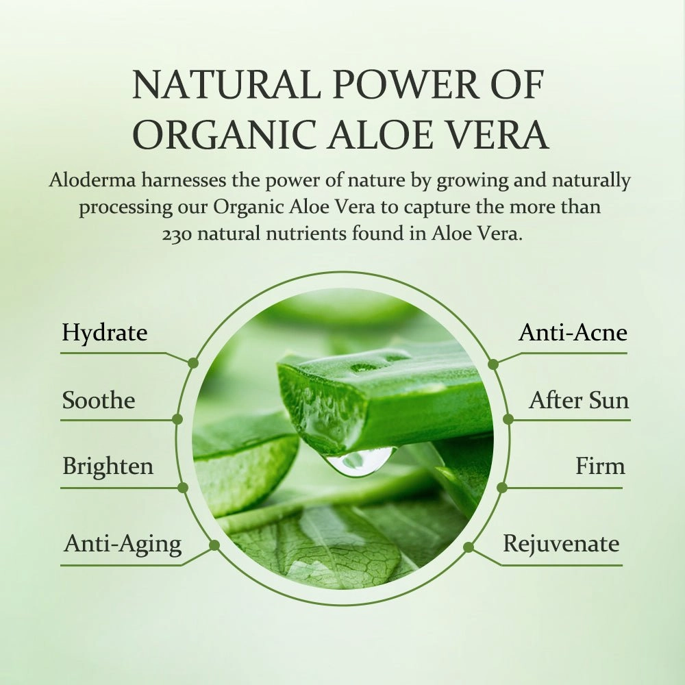 Signature Aloe Hydrating Set from ALODERMA