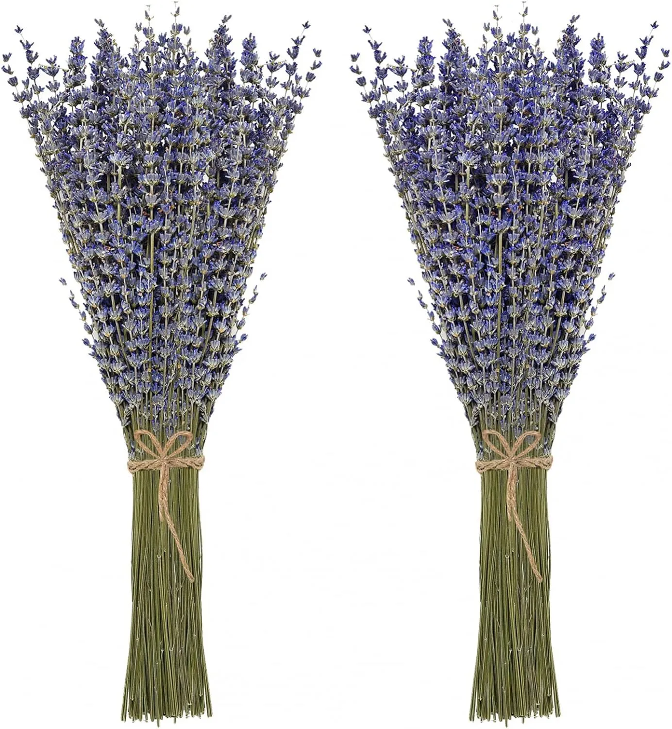 Timoo Dried Lavender Bundles 100 Natural Dried Lavender Flowers for Home Decoration, Photo Props, Home Fragrance, 2 Bundles Pack