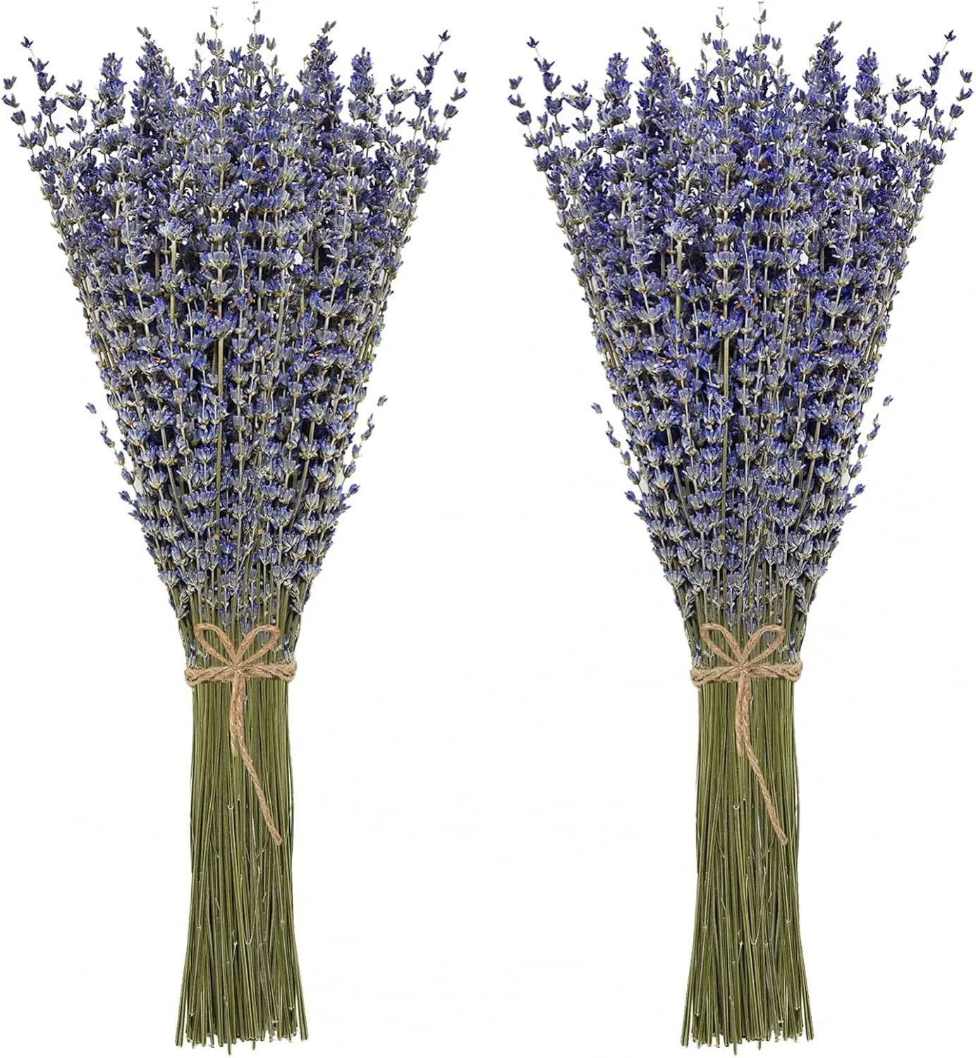 Timoo Dried Lavender Bundles 100 Natural Dried Lavender Flowers for Home Decoration, Photo Props, Home Fragrance, 2 Bundles Pack