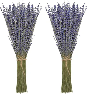 Timoo Dried Lavender Bundles 100 Natural Dried Lavender Flowers for Home Decoration, Photo Props, Home Fragrance, 2 Bundles Pack