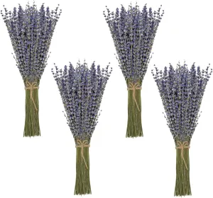 Timoo Dried Lavender Bundles 100 Natural Dried Lavender Flowers for Home Decoration, Photo Props, Home Fragrance, 4 Bundles Pack