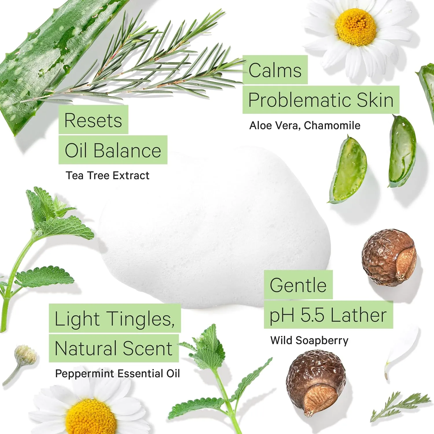 Tree to Tub Sensitive Skin Face Wash for Oily or Combination Skin - Gentle Tea Tree Face Cleanser for Women & Men, Oil Free Daily Foaming Facial Cleanser w/Organic Aloe Vera, All Natural Peppermint