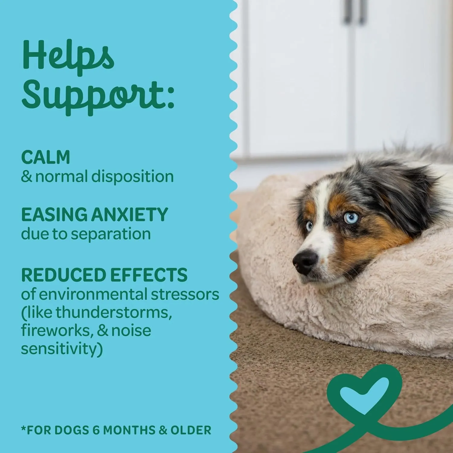 Wholesome Pride Calming Supplement for Dogs - 90 Soft Chews - Natural Anxiety Relief, Separation & Noise Stress Support with Herbal Ingredients, No Melatonin, Non-Drowsy